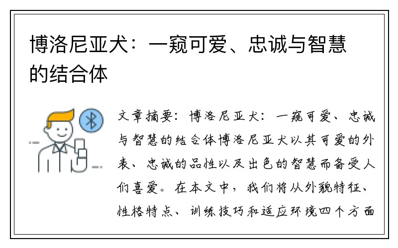 博洛尼亚犬：一窥可爱、忠诚与智慧的结合体