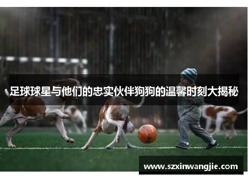 足球球星与他们的忠实伙伴狗狗的温馨时刻大揭秘