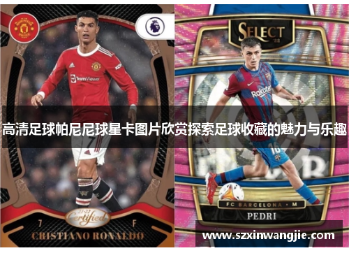高清足球帕尼尼球星卡图片欣赏探索足球收藏的魅力与乐趣