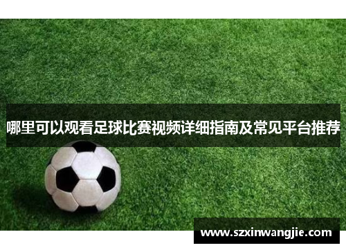 哪里可以观看足球比赛视频详细指南及常见平台推荐
